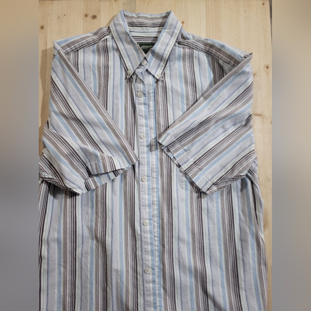 Eddie Bauer Blue and Brown Casual Button Down Shirt
